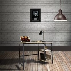 RARE-T Limited Edition Frames Maleficent Photo Limited Signature Edition Studio Licensed Custom Frame