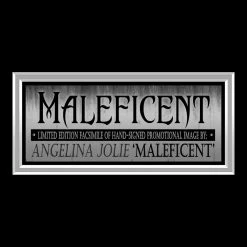 RARE-T Limited Edition Frames Maleficent Photo Limited Signature Edition Studio Licensed Custom Frame