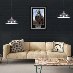 RARE-T Limited Edition Frames Star Wars The Mandalorian - Kuiil Photo Limited Signature Edition Studio Licensed Custom Frame