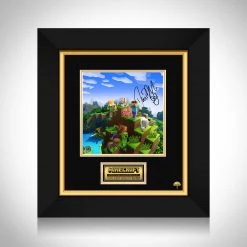 RARE-T Limited Edition Frames Minecraft Promotional Art Photo Limited Signature Edition Studio Licensed Custom Frame