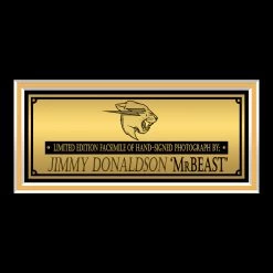 RARE-T Mr Beast Photo Limited Signature Edition Studio Licensed Custom Frame 12 RARE-T Mr Beast Photo Limited Signature Edition Studio Licensed Custom Frame