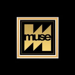 RARE-T Muse Simulation Theory Gold LP Limited Signature Edition Studio Licensed Custom Frame