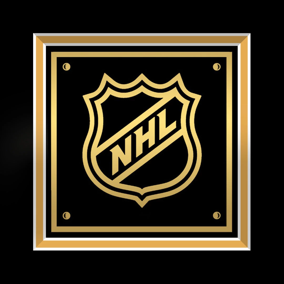 APW Signed Memorabilia Connor Mcdavid- Hand-Signed Edmonton Oilers Jersey Custom Frame 10 APW Signed Memorabilia Connor Mcdavid- Hand-Signed Edmonton Oilers Jersey Custom Frame