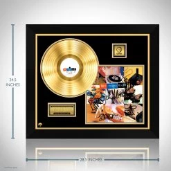 RARE-T New Found Glory - 2000 Gold LP Limited Signature Edition Studio Licensed Custom Frame 14 RARE-T New Found Glory - 2000 Gold LP Limited Signature Edition Studio Licensed Custom Frame
