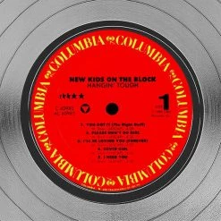 RARE-T New Kids On The Block Hangin' Tough Platinum LP Limited Signature Edition Studio Licensed Custom Frame