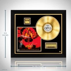 RARE-T Limited Edition Frames Nile - Annihilation Of The Wicked Gold LP Limited Signature Edition Studio Licensed Custom Frame