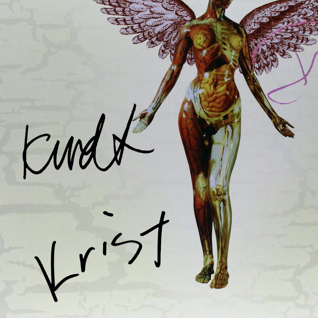 RARE-T Nirvana In Utero Platinum LP Limited Signature Edition Studio Licensed Custom Frame Limited Edition Frames 2 RARE-T Nirvana In Utero Platinum LP Limited Signature Edition Studio Licensed Custom Frame Limited Edition Frames