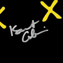 RARE-T Nirvana Smiley Face Commemorative Limited Signature Edition Studio Licensed LP Cover Custom Frame