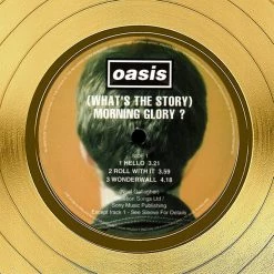 RARE-T Oasis What’s The Story Morning Glory Gold LP Limited Signature Edition Studio Licensed Custom Frame