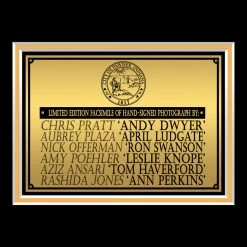 RARE-T Parks And Recreation Cast Photo Limited Signature Edition Studio Licensed Custom Frame Limited Edition Frames