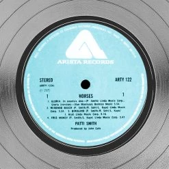 RARE-T Patti Smith - Horses Platinum LP Limited Signature Edition Studio Licensed Custom Frame