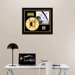 RARE-T Limited Edition Frames Pearl Jam - VS Gold LP Limited Signature Edition Studio Licensed Custom Frame