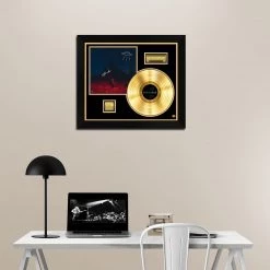 RARE-T Limited Edition Frames Phoebe Bridgers - Punisher Gold LP Limited Signature Edition Studio Licensed Custom Frame