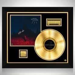 RARE-T Limited Edition Frames Phoebe Bridgers - Punisher Gold LP Limited Signature Edition Studio Licensed Custom Frame