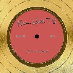 RARE-T Plain White T's - All That We Needed Gold LP Limited Signature Edition Studio Licensed Custom Frame Limited Edition Frames