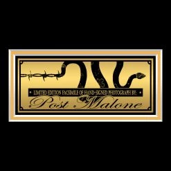 RARE-T Limited Edition Frames Post Malone On Stage Photo Limited Signature Edition Studio Licensed Custom Frame