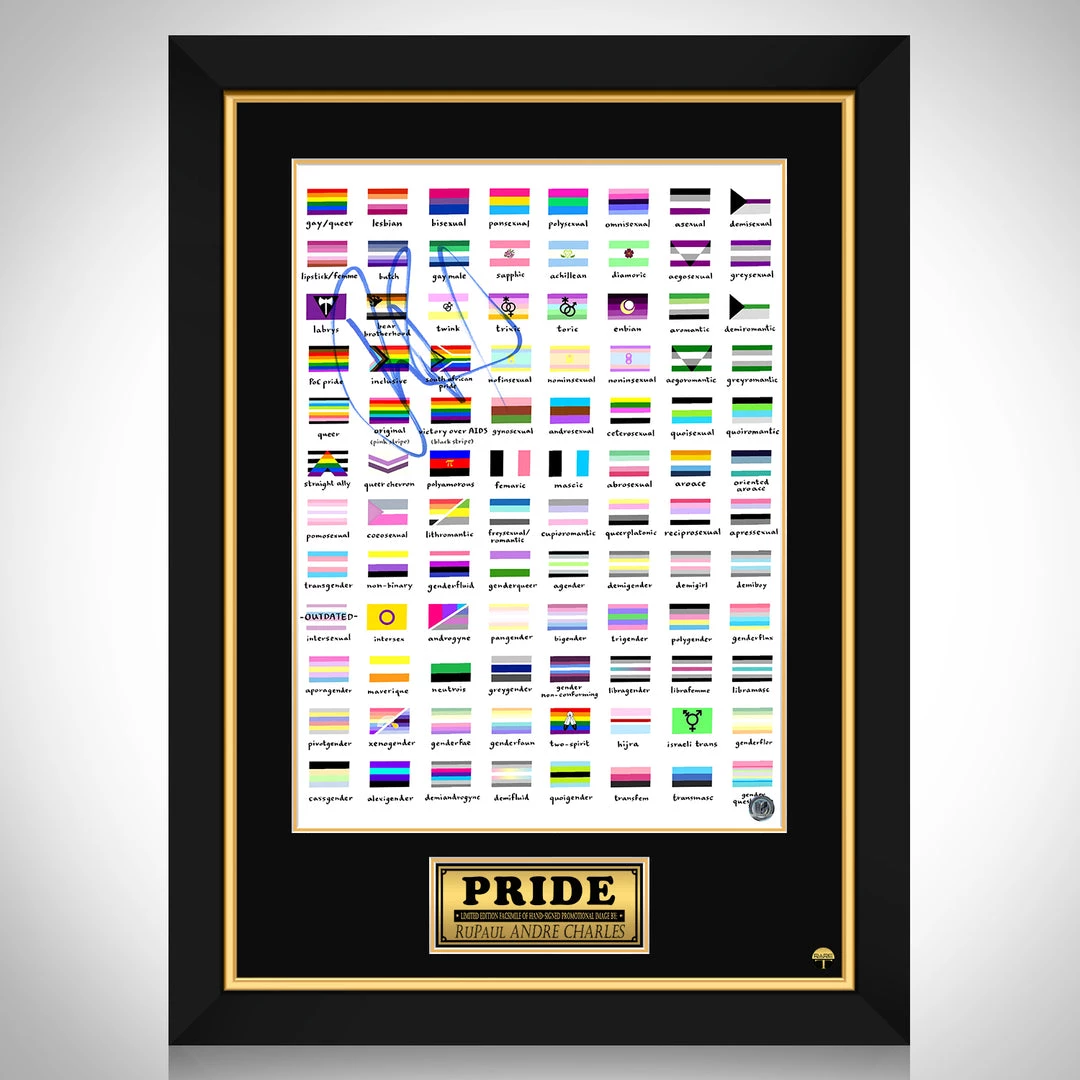 RARE-T Limited Edition Frames Gay Pride Flags Mini Poster Limited Signature Edition Studio Licensed Custom Frame 1 RARE-T Limited Edition Frames Gay Pride Flags Mini Poster Limited Signature Edition Studio Licensed Custom Frame