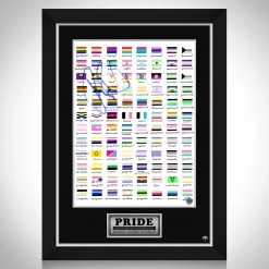 RARE-T Limited Edition Frames Gay Pride Flags Mini Poster Limited Signature Edition Studio Licensed Custom Frame 15 RARE-T Limited Edition Frames Gay Pride Flags Mini Poster Limited Signature Edition Studio Licensed Custom Frame