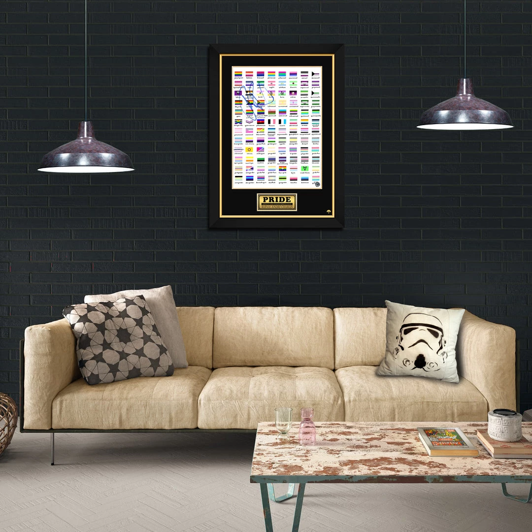 RARE-T Limited Edition Frames Gay Pride Flags Mini Poster Limited Signature Edition Studio Licensed Custom Frame 2 RARE-T Limited Edition Frames Gay Pride Flags Mini Poster Limited Signature Edition Studio Licensed Custom Frame