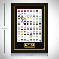 RARE-T Limited Edition Frames Gay Pride Flags Mini Poster Limited Signature Edition Studio Licensed Custom Frame 10 RARE-T Limited Edition Frames Gay Pride Flags Mini Poster Limited Signature Edition Studio Licensed Custom Frame