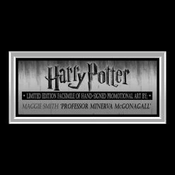 RARE-T Harry Potter - Professor Minerva McGonagall Photo Limited Signature Edition Studio Licensed Custom Frame Limited Edition Frames