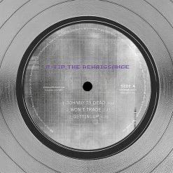 RARE-T Q-Tip - The Renaissance Platinum LP Limited Signature Edition Studio Licensed Custom Frame Limited Edition Frames