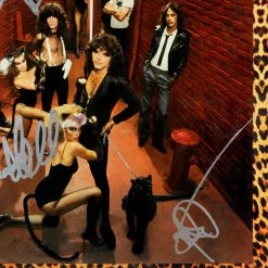 RARE-T REO Speedwagon - Nine Lives Limited Signature Edition Studio Licensed Platinum LP Custom Frame Limited Edition Frames