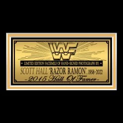 RARE-T Sports Memorabilia WWF Razor Ramone Photo Limited Signature Edition Studio Licensed Custom Frame