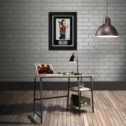 RARE-T Resident Evil Alice Photo Limited Signature Edition Studio Licensed Custom Frame Limited Edition Frames