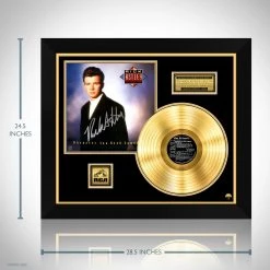 RARE-T Rick Astley - Whenever You Need Somebody Gold LP Limited Signature Edition Studio Licensed Custom Frame