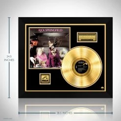 RARE-T Rick Springfield - Success Hasn't Spoiled Me Limited Signature Edition Studio Licensed Gold LP Custom Frame