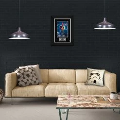 RARE-T Limited Edition Frames Robot Chicken Photo Limited Signature Edition Studio Licensed Custom Frame