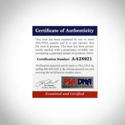 PPC Rocky - Psa/Dna Certified Hand-Signed Boxing Boot By Sylvester Stallone Custom Frame B