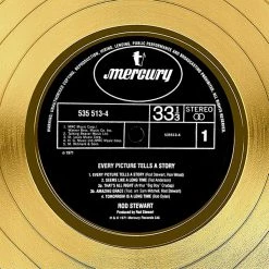 Rare-T Limited Edition Frames Rod Stewart - Every Picture Tells A Story Gold LP Limited Signature Edition Studio Licensed Custom Frame