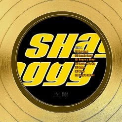 RARE-T Shaggy - Hot Shot Gold LP Limited Signature Edition Studio Licensed Custom Frame