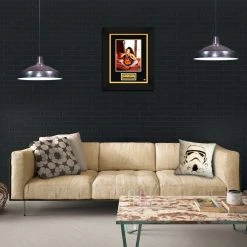 RARE-T Limited Edition Frames Shania Twain Photo Limited Signature Edition Studio Licensed Custom Frame