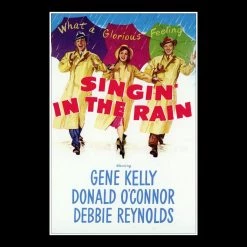 RARE-T Singin’ In The Rain Script Limited Signature Edition Studio Licensed Custom Frame Limited Edition Frames 19 RARE-T Singin’ In The Rain Script Limited Signature Edition Studio Licensed Custom Frame Limited Edition Frames