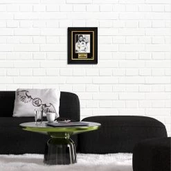 RARE-T Limited Edition Frames Six Million Dollar Man Limited Signature Edition Studio Licensed Custom Frame