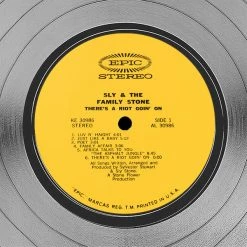 Rare-T Sly & The Family Stone There's A Riot Goin' On Platinum LP Limited Signature Edition Studio Licensed Custom Frame Limited Edition Frames