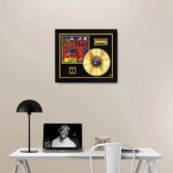 RARE-T Limited Edition Frames Snoop Dog Doggy Style Gold LP Limited Signature Edition Studio Licensed Custom Frame