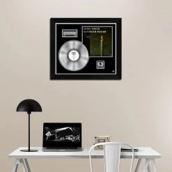 RARE-T Sonic Youth - Daydream Nation Platinum LP Limited Signature Edition Studio Licensed Custom Frame Limited Edition Frames