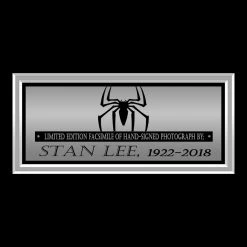 RARE-T The Amazing Spider-Man Photo Limited Signature Edition Studio Licensed Custom Frame