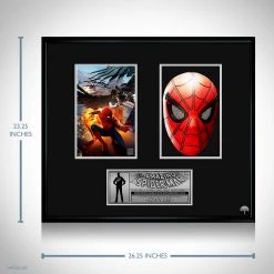 Rare-T Spider-Man Vs Vulture Mask Prop Limited Signature Edition Custom Frame