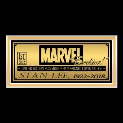 RARE-T Super Action Comics #1 - Stan Lee Limited Signature Edition Comic Book Cover Art Custom Frame 9 RARE-T Super Action Comics #1 - Stan Lee Limited Signature Edition Comic Book Cover Art Custom Frame