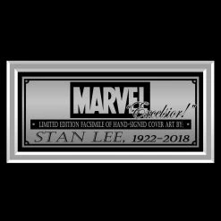 RARE-T Star Trek Deep Space Nine #1 Limited Signature Edition Comic Book Cover Art Custom Frame Limited Edition Frames