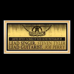 RARE-T Aerosmith - Steven Tyler & Joe Perry Photo Limited Signature Edition Studio Licensed Custom Frame