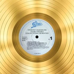 RARE-T Stevie Ray Vaughan Couldn't Stand The Weather Gold LP Limited Signature Edition Custom Frame
