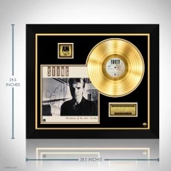 Rare-T Sting Dream Of The Blue Turtles Limited Signature Edition Studio Licensed Gold LP Custom Frame