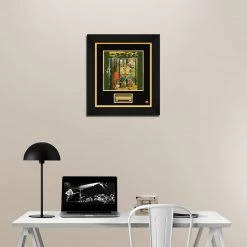 RARE-T Limited Edition Frames Styx - The Grand Illusion LP Cover Limited Signature Edition Studio Licensed Custom Frame