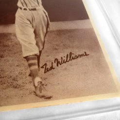 Michel Ted Williams-1939 World Wide Gum Rookie Card Custom Frame(Psa Ex-Mt6) 1 Of 3 Psa Graded In The World Sports Memorabilia 15 Michel Ted Williams-1939 World Wide Gum Rookie Card Custom Frame(Psa Ex-Mt6) 1 Of 3 Psa Graded In The World Sports Memorabilia